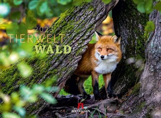 Tierwelt Wald Kalender 2023