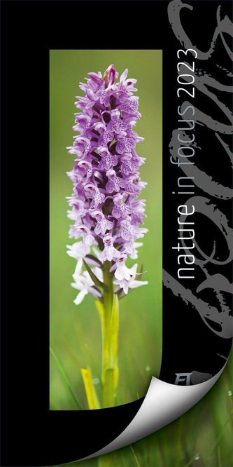 Nature in Focus Kalender 2023