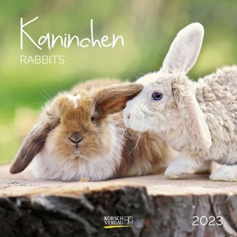 Kaninchen 2023