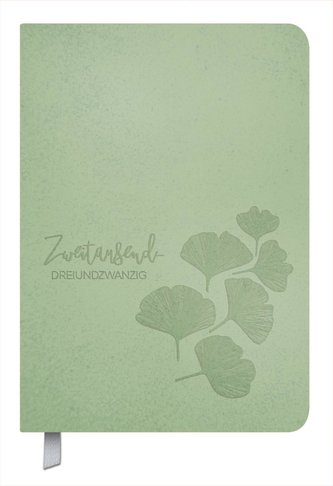 Timer Soft Touch 18 Monate jade 2023/2024