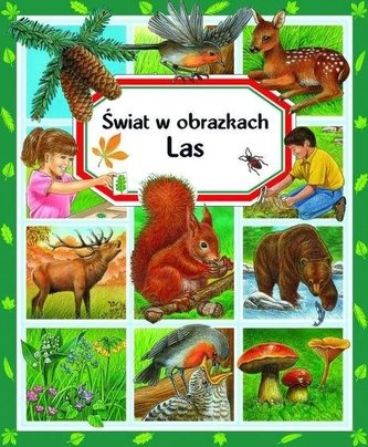 Świat w obrazkach Las