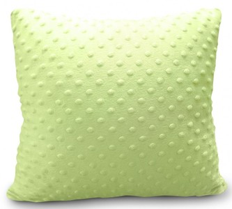 Polštář BEST MINKY světle zelená 40x40 cm Mybesthome