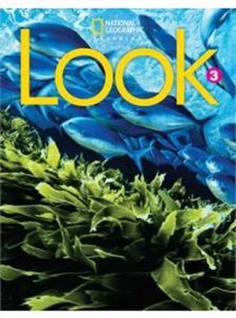 LOOK A1 Level 3 BrE Flashcards