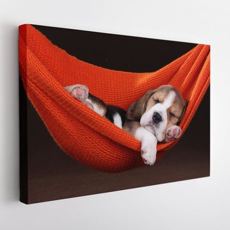 Obraz na plátně DOG 120x80 cm Mybesthome