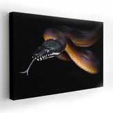 Obraz na plátně SNAKE 120x80 cm Mybesthome