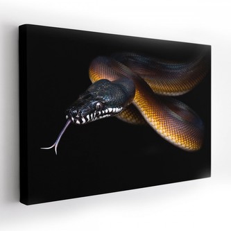 Obraz na plátně SNAKE 120x80 cm Mybesthome