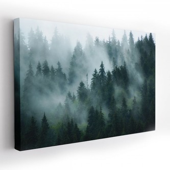 Obraz na plátně FOREST 120x80 cm Mybesthome