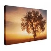 Obraz na plátně TREE 120x80 cm Mybesthome