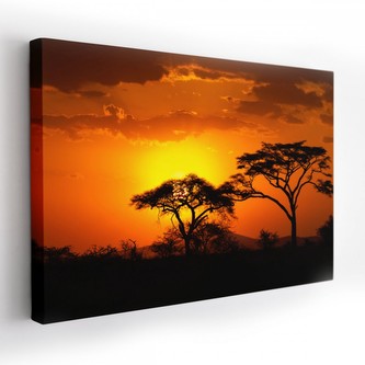 Obraz na plátně AFRICA 120x80 cm Mybesthome