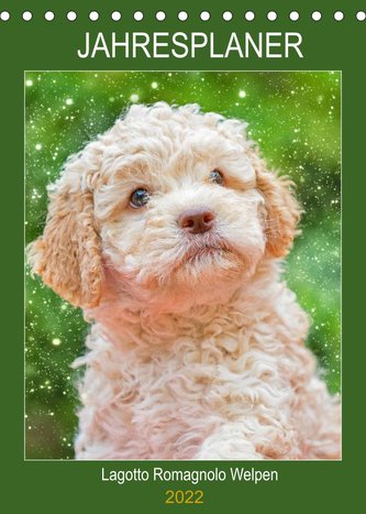 Jahresplaner Lagotto Romagnolo Welpen (Tischkalender 2022 DIN A5 hoch)