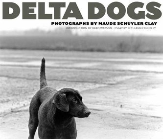 Delta Dogs Delta Dogs