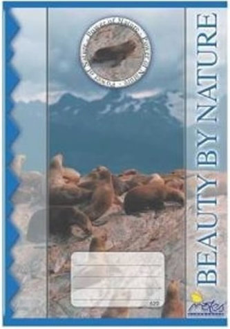 Sešit 520 economy (Notes)