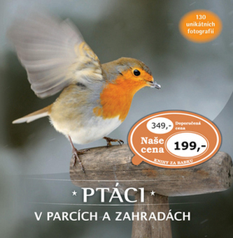 Ptáci v parcích a zahradách