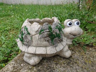 Obal želva solar oči