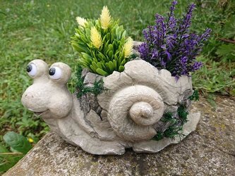 Obal šnek s mechem solar oči