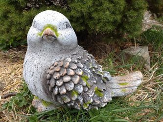 Ptáček MG kamínky