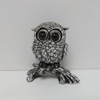 Sova černobílá na větvi