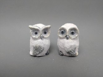 Sova sněžná malá