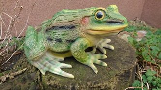 Žába polyston zelená velká