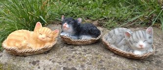 Kočka polyston v košíčku