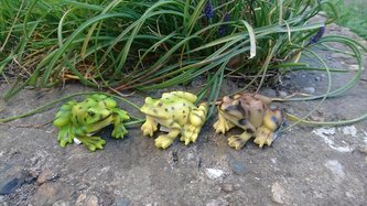 Žába polyston zelená malá