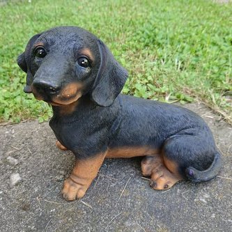 Jezevčík polyston sedící