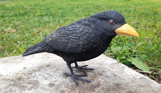 Kos poly kovové nohy