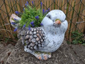 Obal MG ptáček kamínky