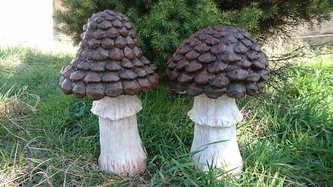 Houba hnědý klobouk velká