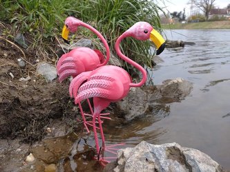 Plameňák plechový