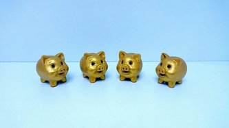 Prasátko zlaté malé