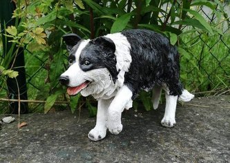 Borderkolie