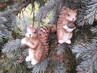 Veverka s oříškem menší