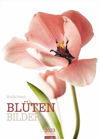 Blütenbilder Kalender 2023
