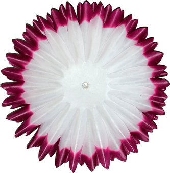 Jiřina jehlicovitá - voskované volné plátky - vínovobílé (600 ks)