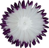 Jiřina jehlicovitá - voskované volné plátky - fialovobílé (600 ks)