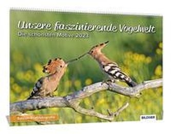 Unsere faszinierende Vogelwelt (Wandkalender 2023 DIN A3 quer) Edition Profifotografie