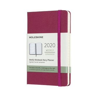 Moleskine: Plánovací zápisník 2020 tvrdý růžový S