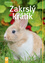 Zakrslý králík Zakrslý králík