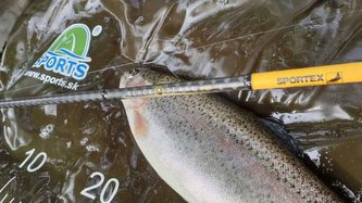 Přívlačové pruty Black Pearl GT-3 ultra light 210cm / 2-8g