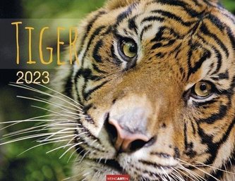 Tiger Kalender 2023