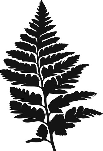 Kapradina list - plastová šablona 287 Rozměr: C 14,5x14,5cm