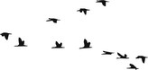 Letící ptáci - plastová šablona 267 Rozměr: B 14,5x14,5cm