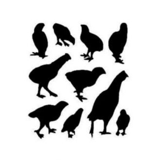 Ptactvo - plastová šablona 152 Rozměr: D 29x29cm