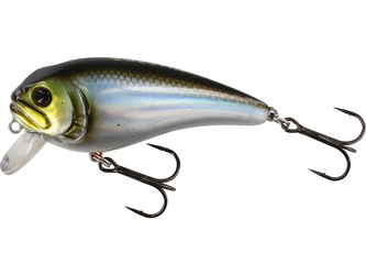 WESTIN: Wobler FatBite 5,5cm 8g Floating Blueback Herring