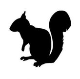 Veverka - plastová šablona 139 Rozměr: B 14,5x14,5cm