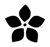 Kytka - plastová šablona 250 Rozměr: B 14,5x14,5cm