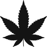 List - plastová šablona 279 Rozměr: D 29x29cm