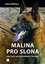 Malina pro slona Malina pro slona