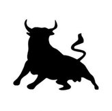 Býk - plastová šablona 126 Rozměr: D 29x29cm